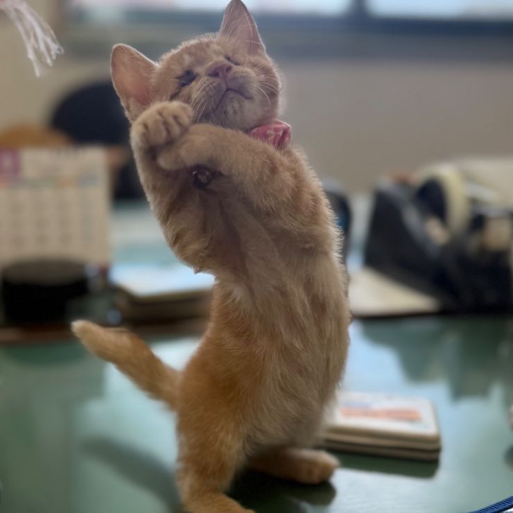 幸せになろうね^_^