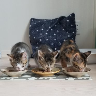 一緒に食べると美味しいね