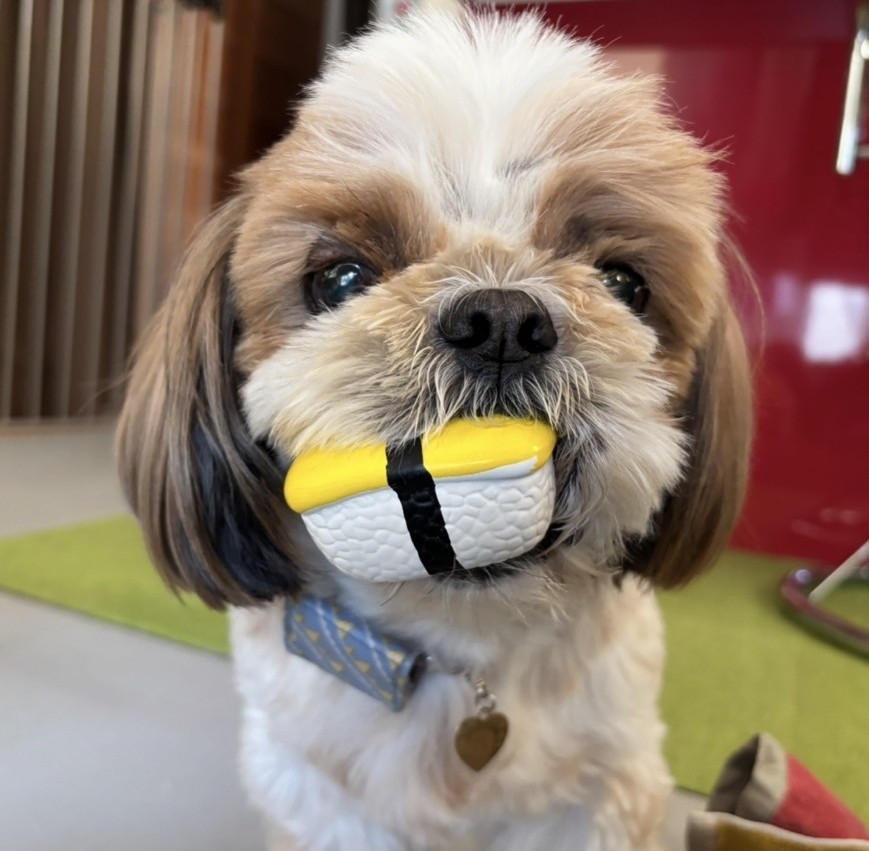 オモチャだいすき！
