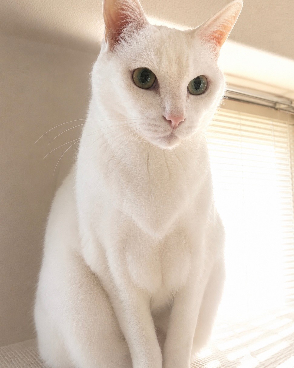 お兄ちゃんになったね ずっと一緒だよ🤍