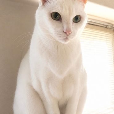 お兄ちゃんになったね ずっと一緒だよ🤍
