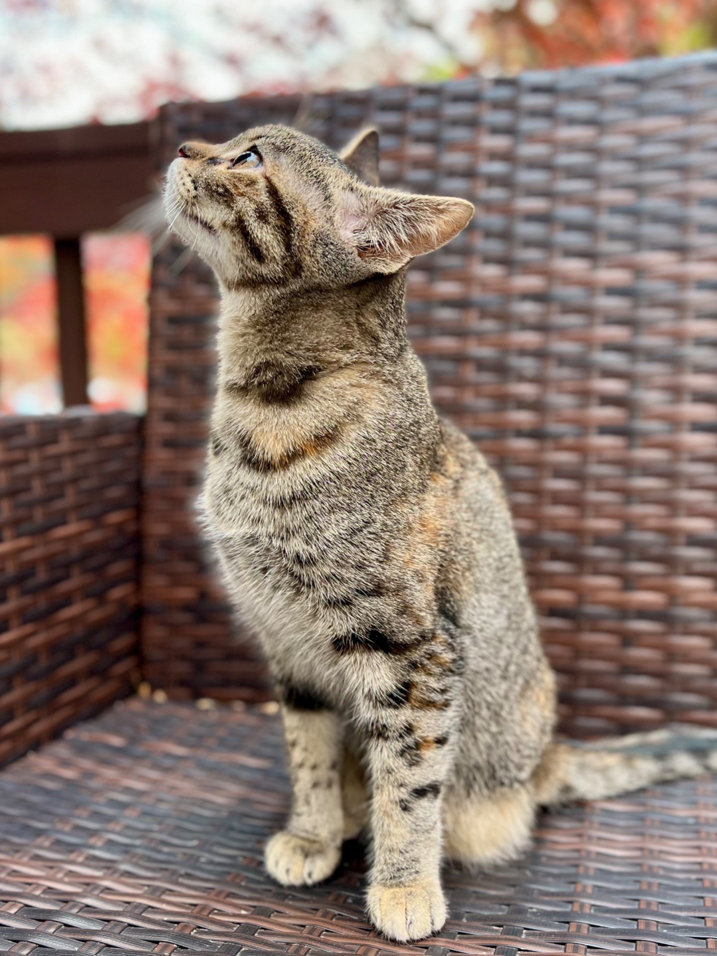 ありのままで