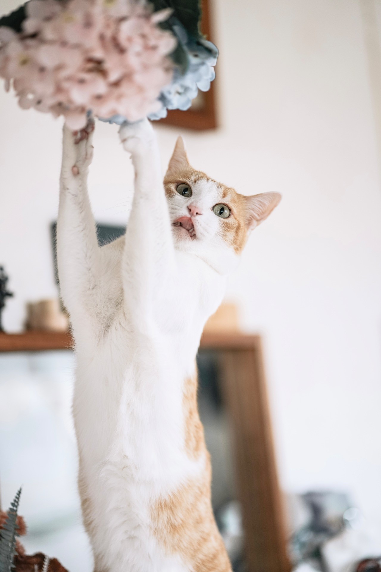 あ、見つかっちゃった！