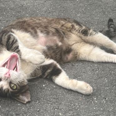 大好きだよ　まる