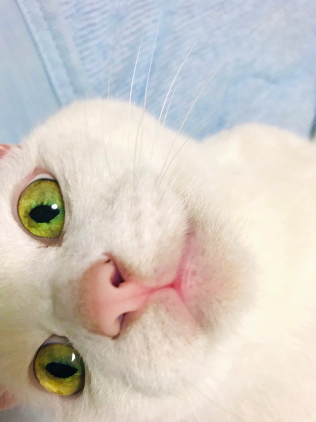 いつもそぼに