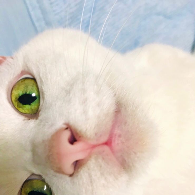 いつもそぼに
