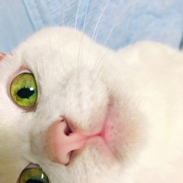 いつもそぼに