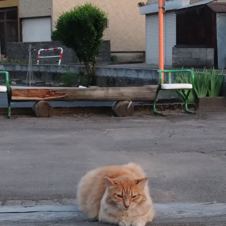 今日もここで生きてる