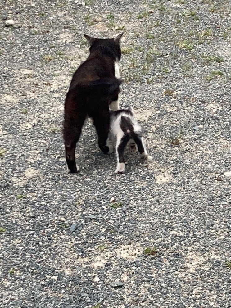 しあわせにくらしてるよ！