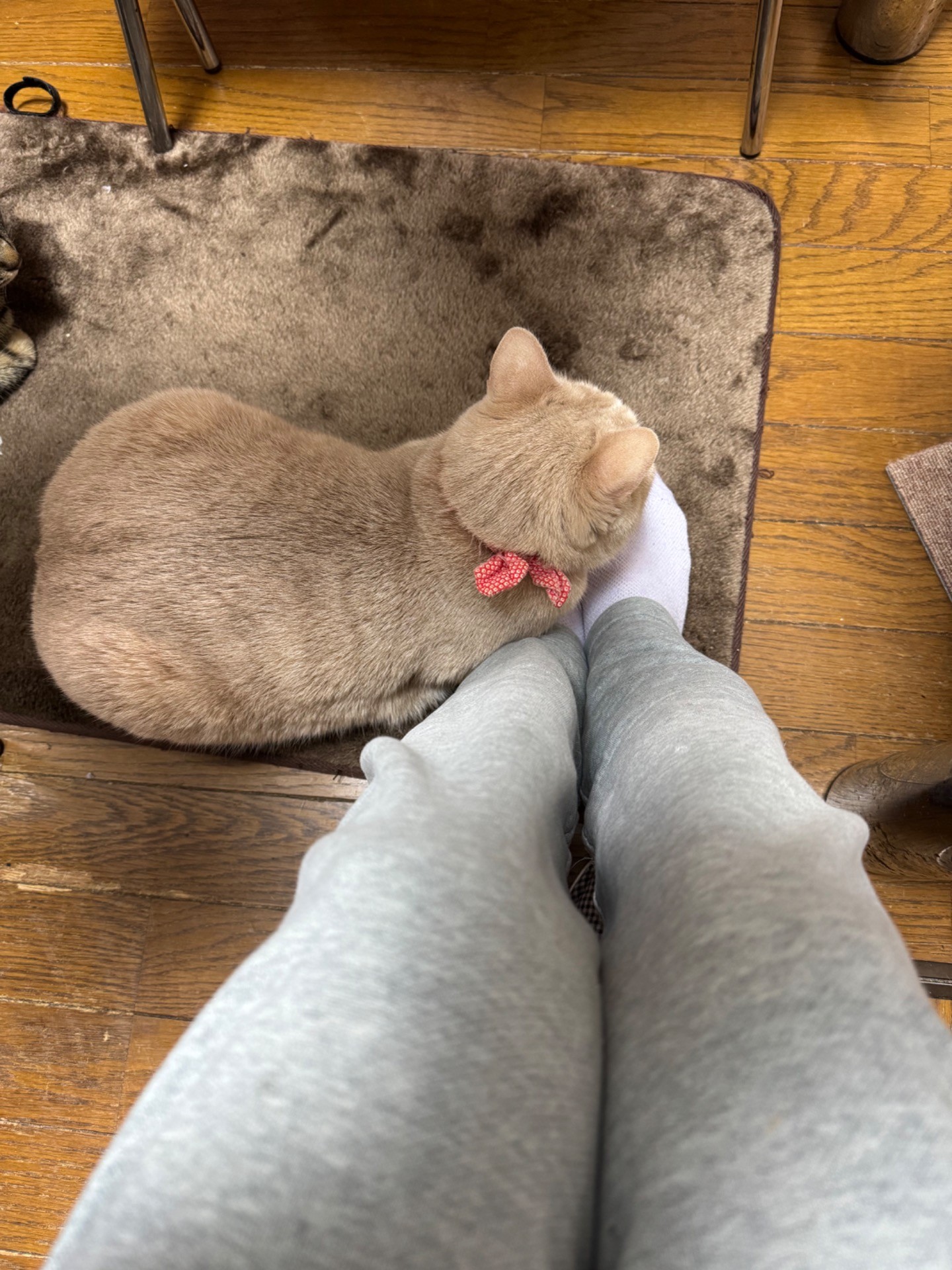 いつも一緒