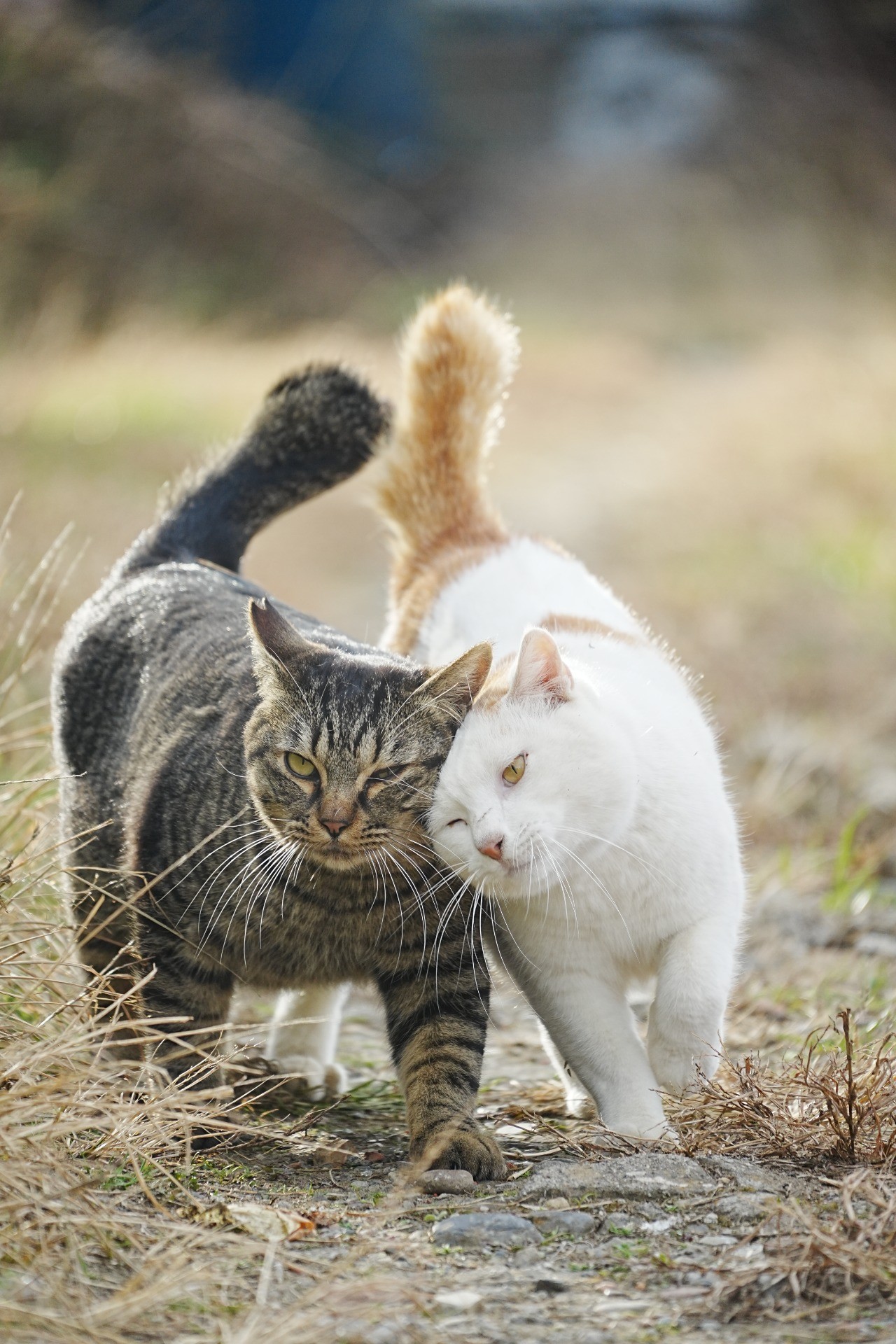 いつでもなかよく
