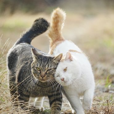 いつでもなかよく