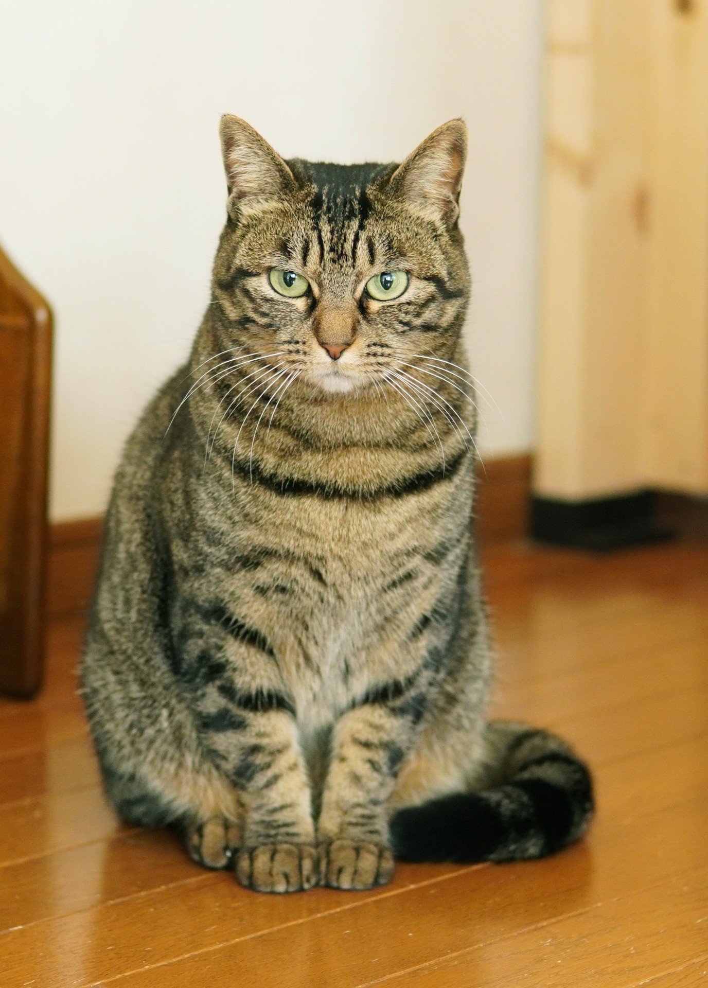 お行儀いいね!