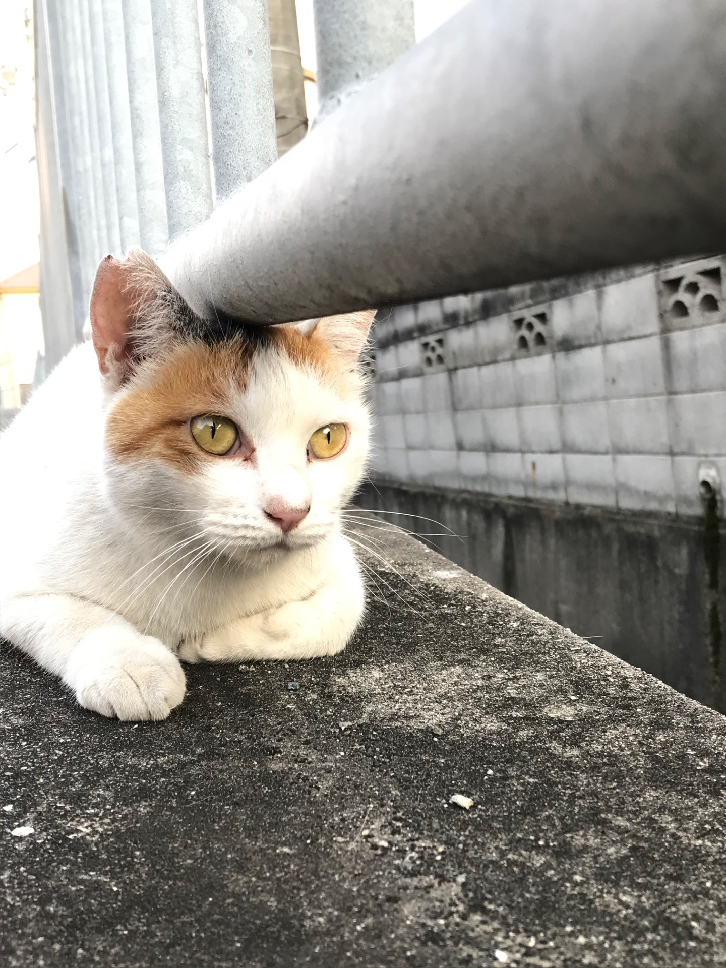 そろそろご飯かなぁ