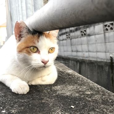 そろそろご飯かなぁ