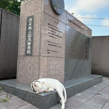 二度寝