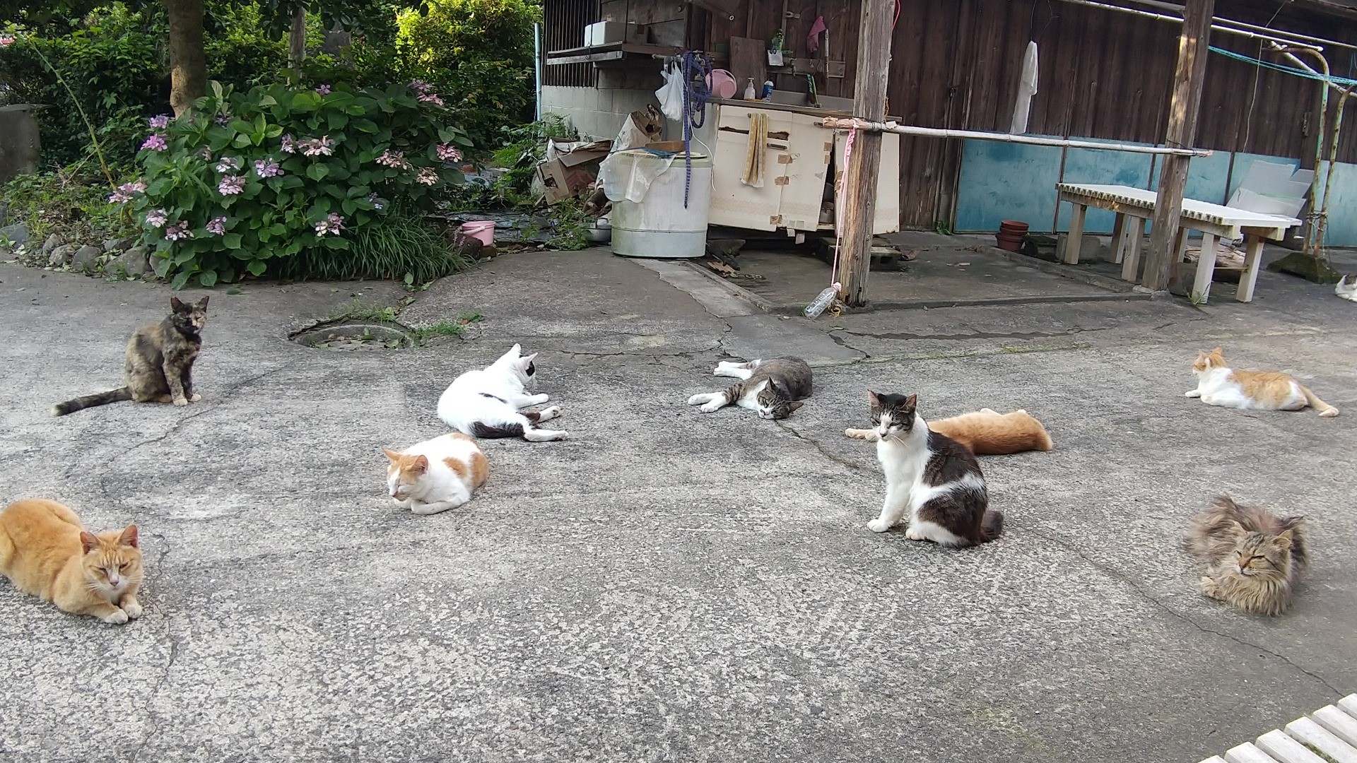出待ち