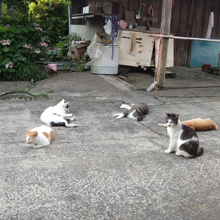 出待ち
