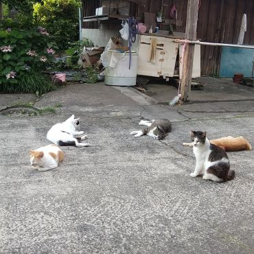 出待ち