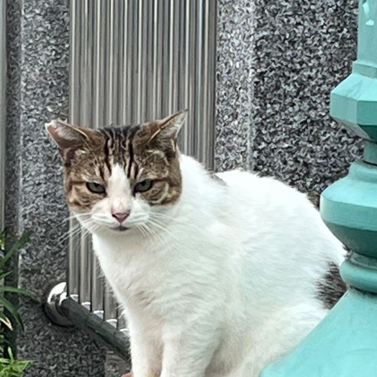 シロちゃんありがとう❣️