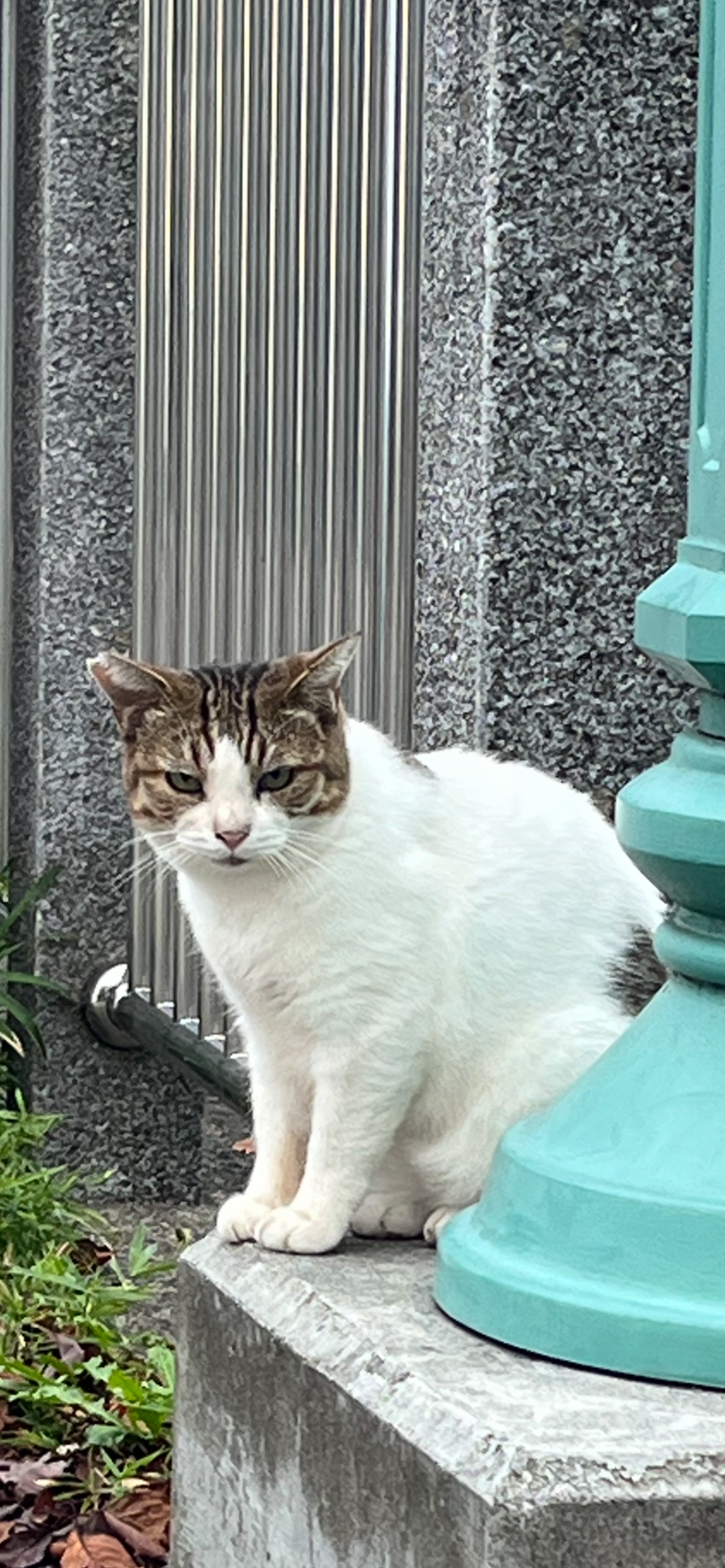 シロちゃんありがとう❣️
