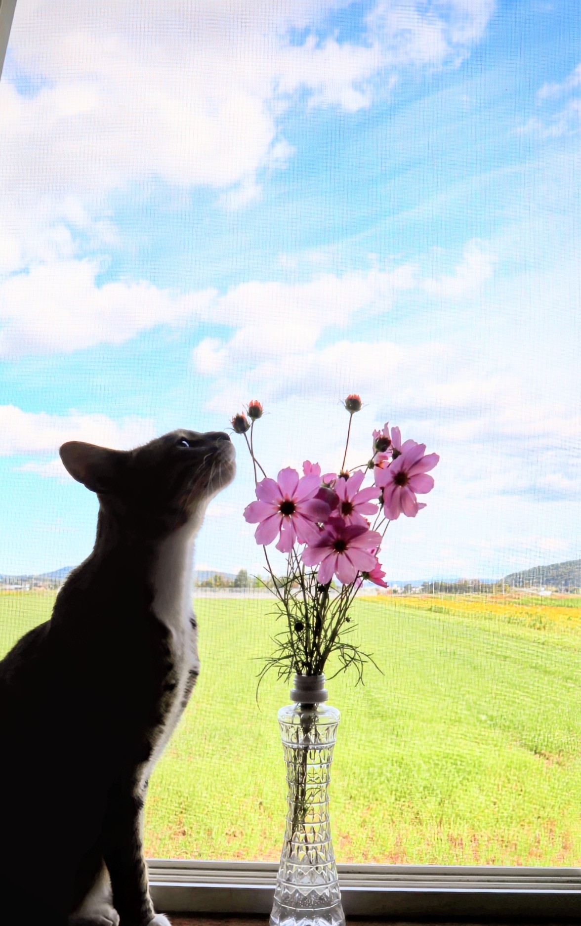 お花と一緒に