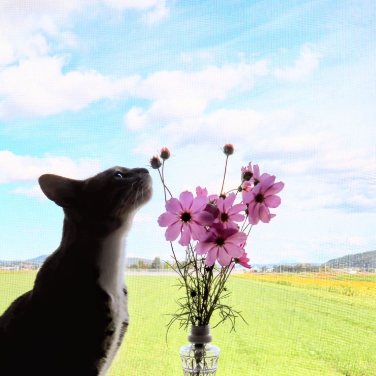 お花と一緒に