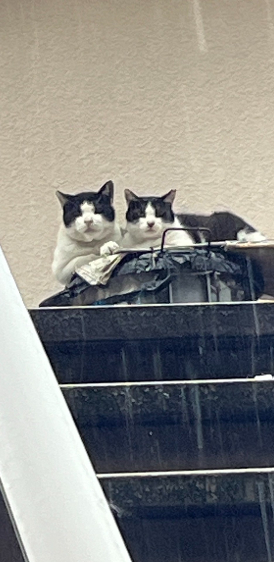 仲良し夫婦です❣️