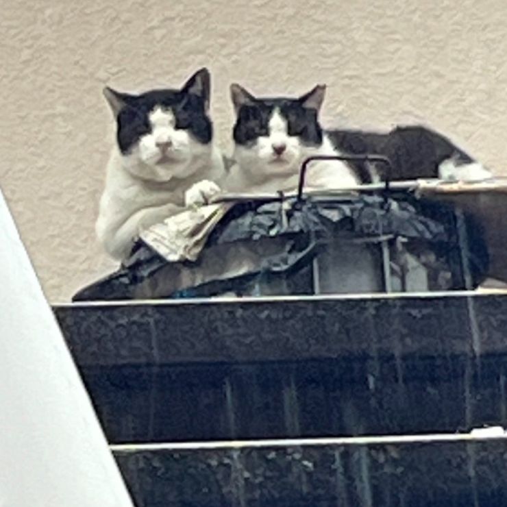 仲良し夫婦です❣️
