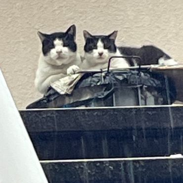 仲良し夫婦です❣️