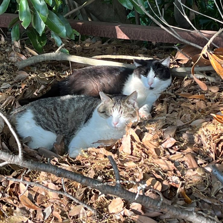 仲良し❣️