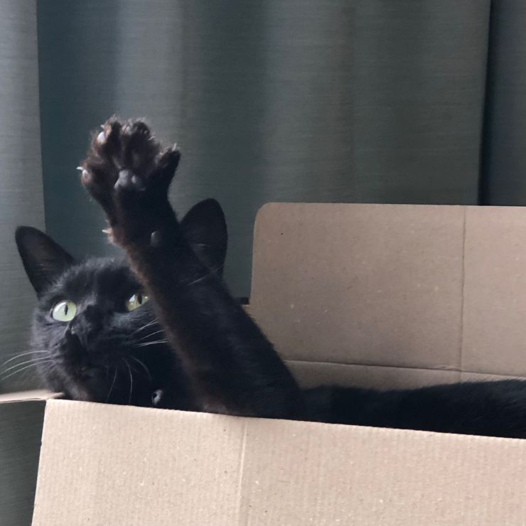 はぁーい！