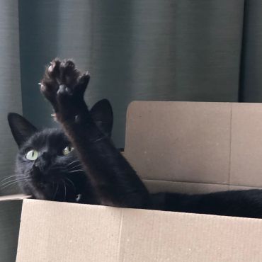 はぁーい！