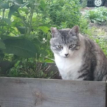 朝ごはんまだですか？