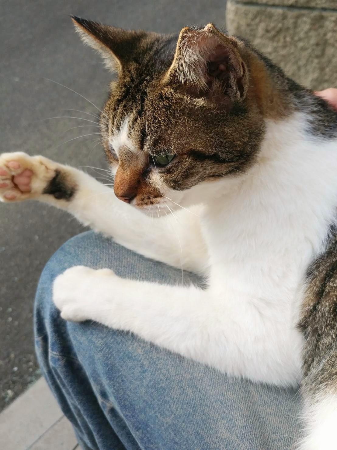 お膝でのひととき
