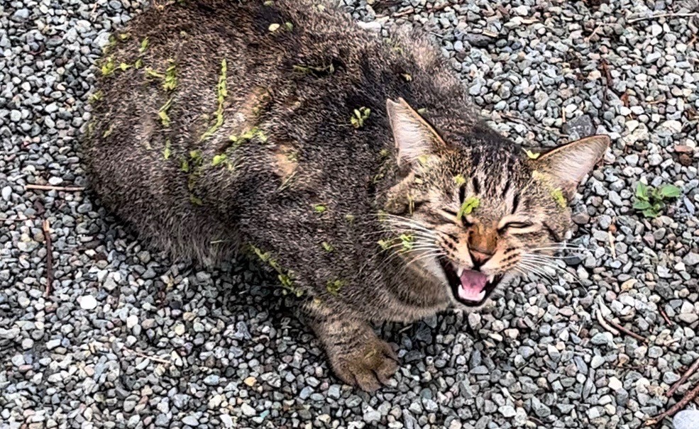 くっついちゃったよぉ〜