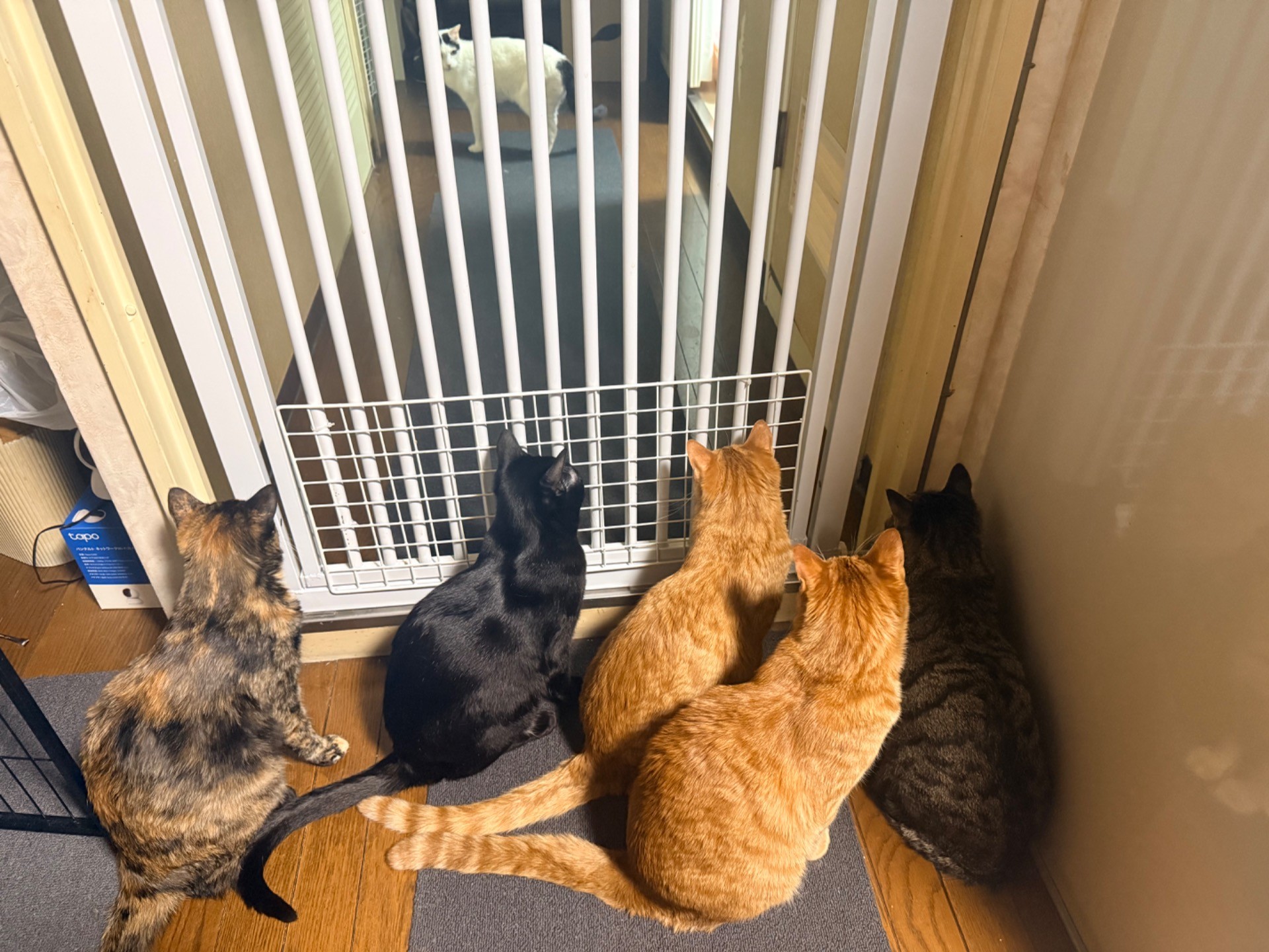 みんな一緒に居たいな
