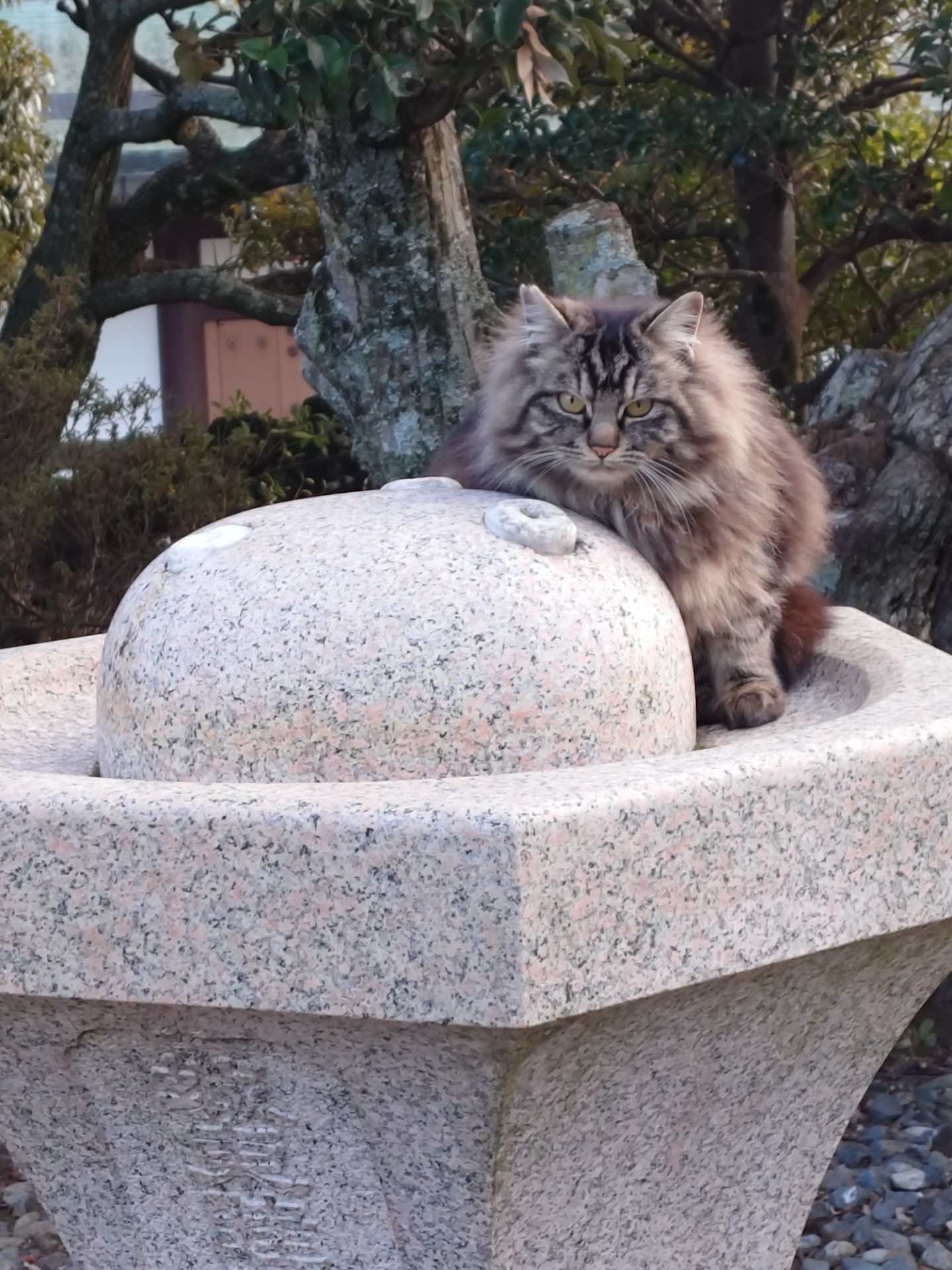 元気だよ