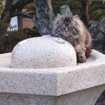 元気だよ