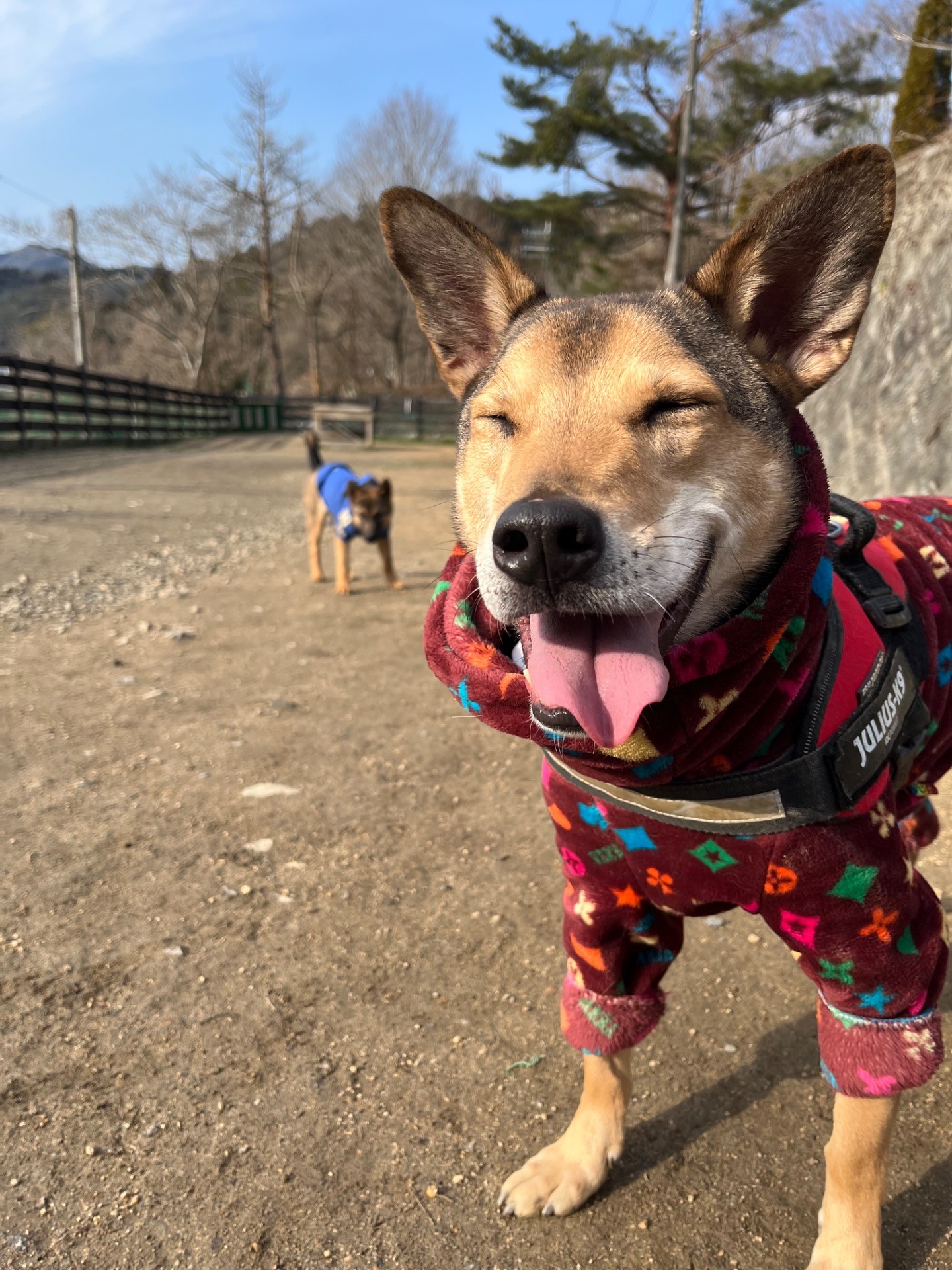 守りたいこの笑顔