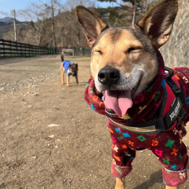 守りたいこの笑顔