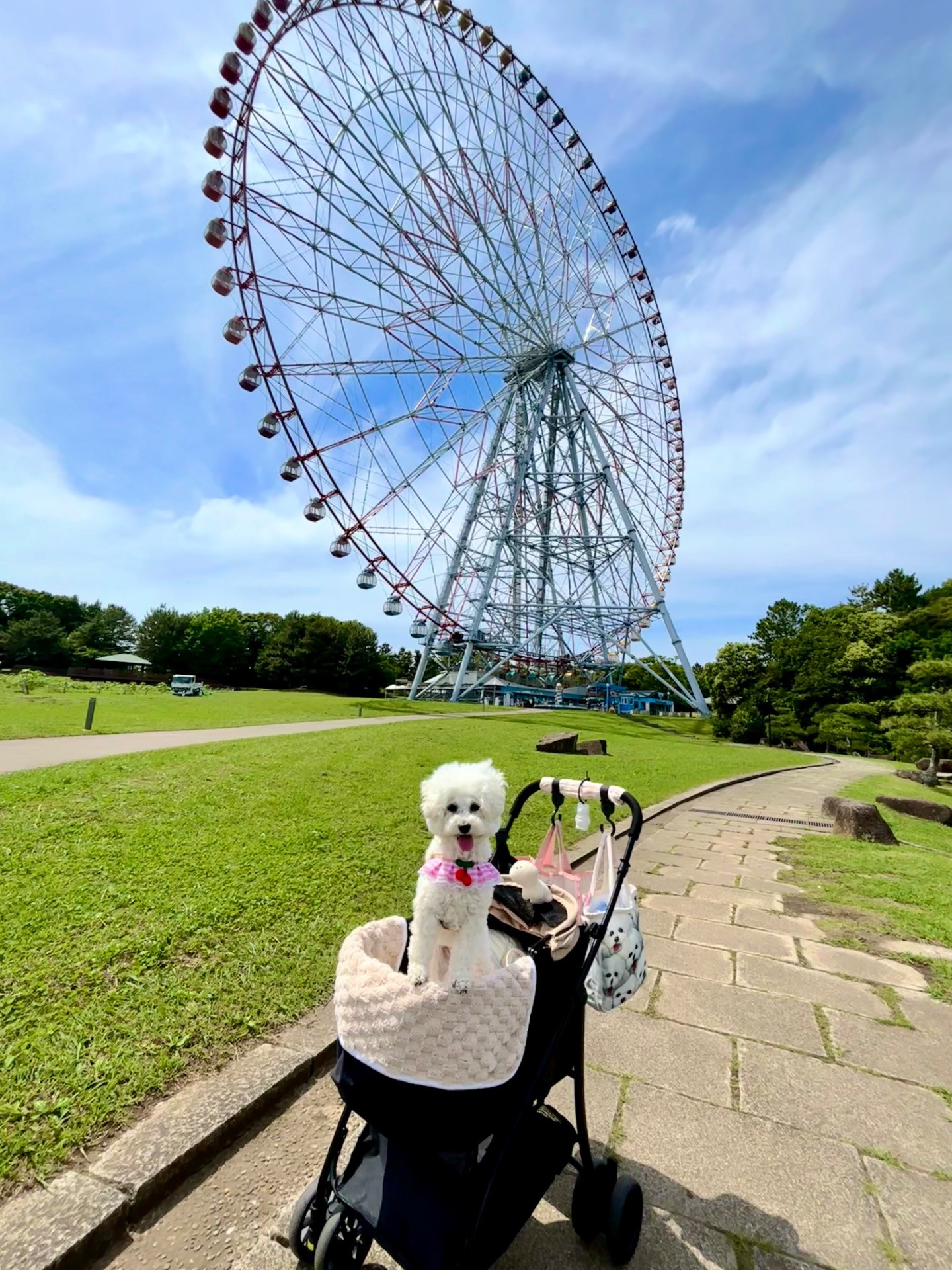 観覧車って大きいね