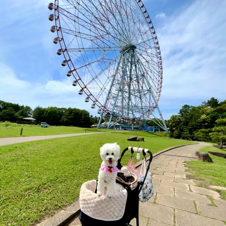 観覧車って大きいね