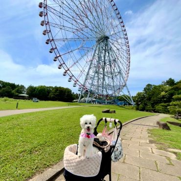 観覧車って大きいね