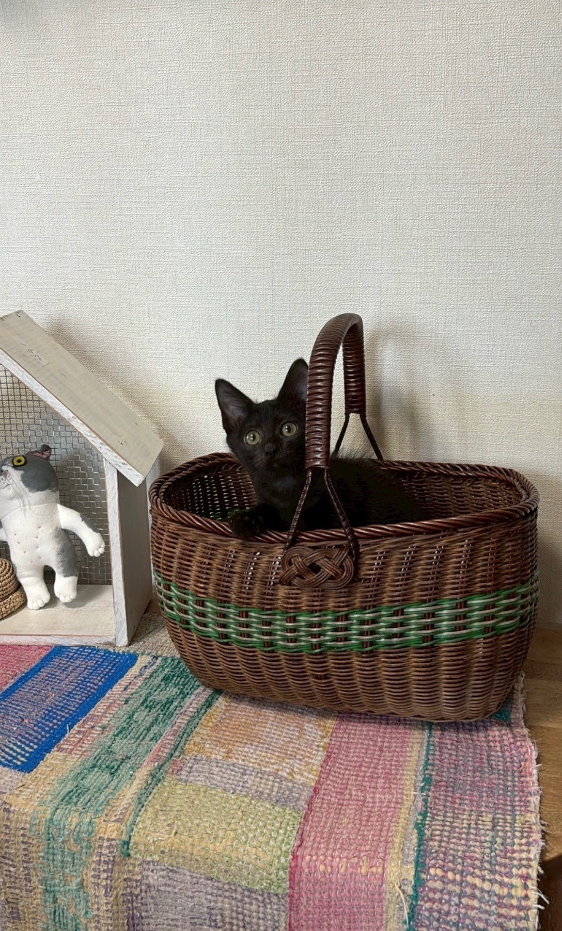 カゴいり娘