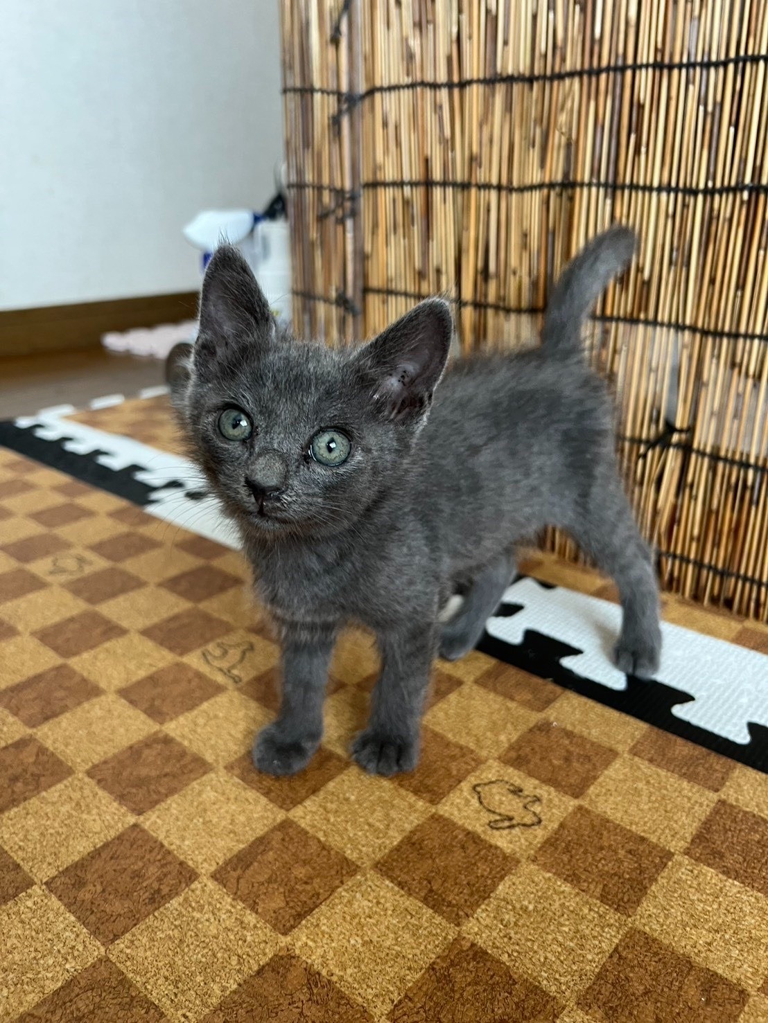 ビジュいいじゃん★