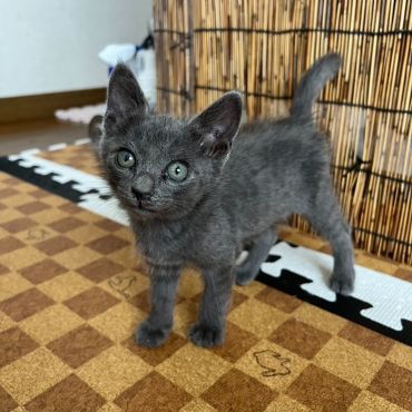 ビジュいいじゃん★