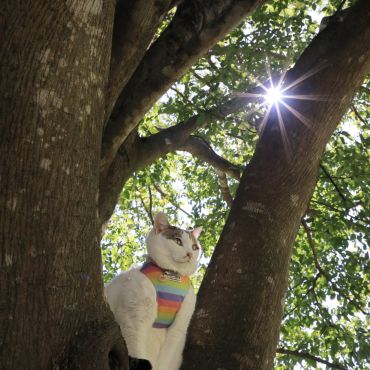 太陽の様に強く逞しく生きよう！