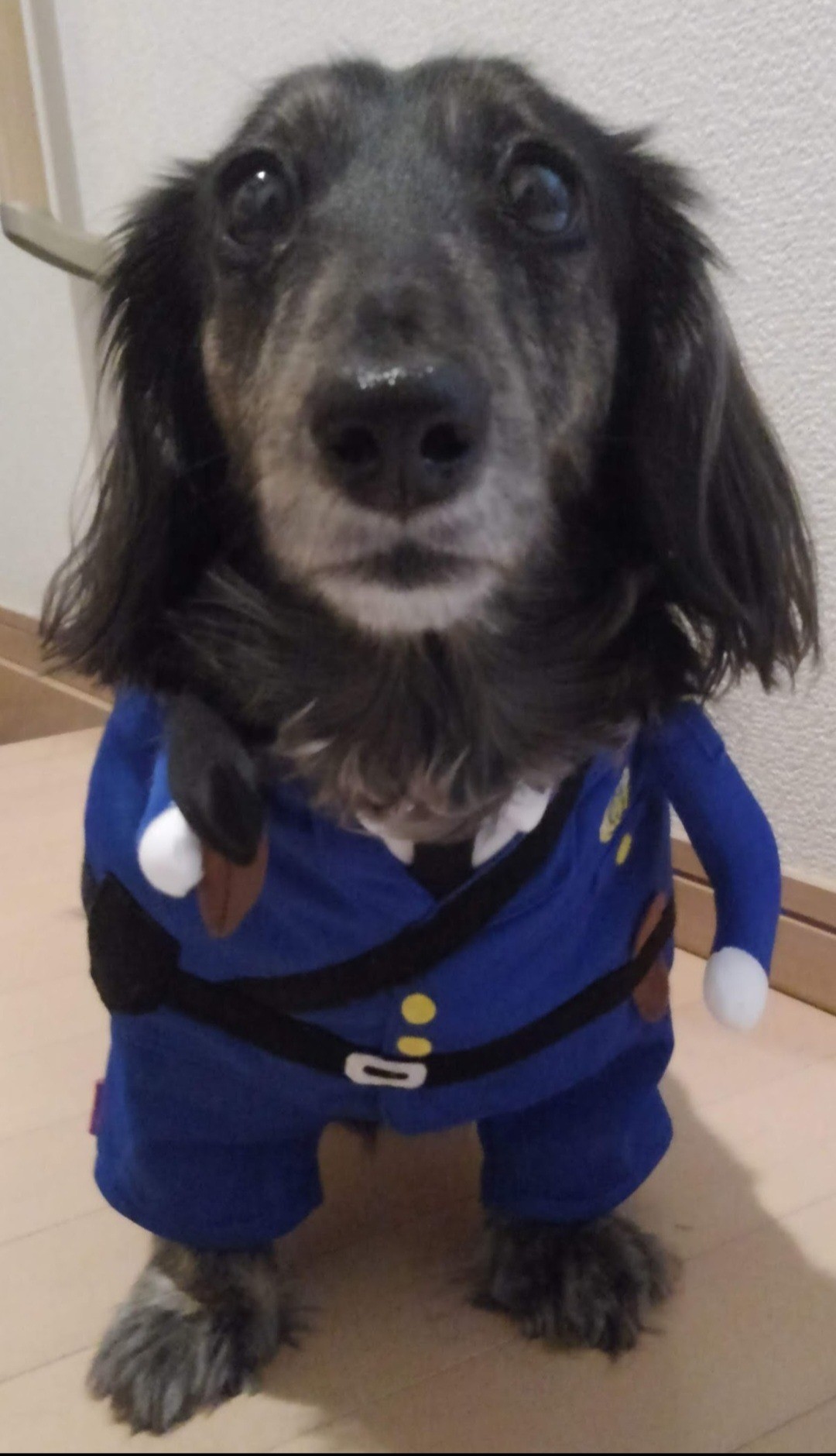 今日も平和を守るためにパトロールします