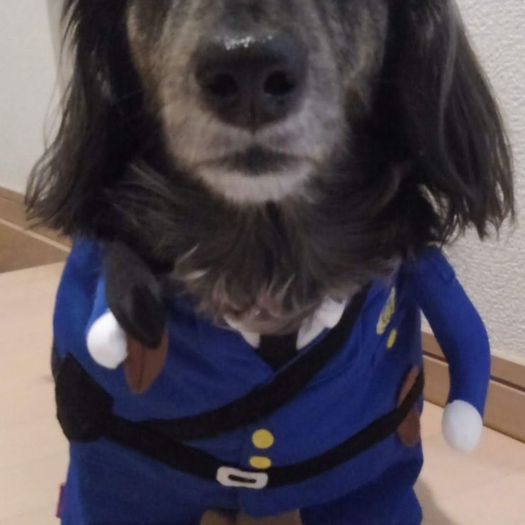 今日も平和を守るためにパトロールします